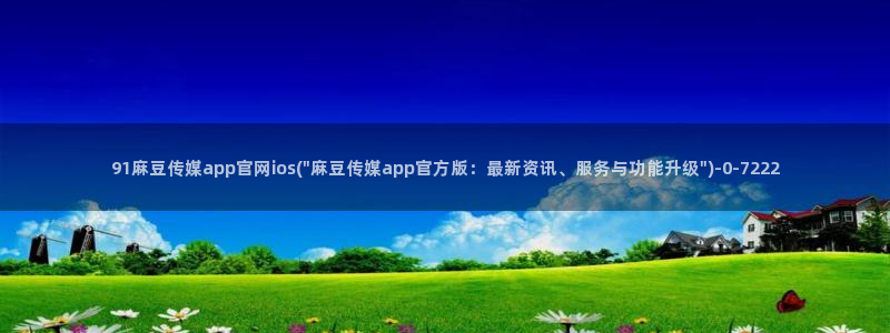 麻豆视频网