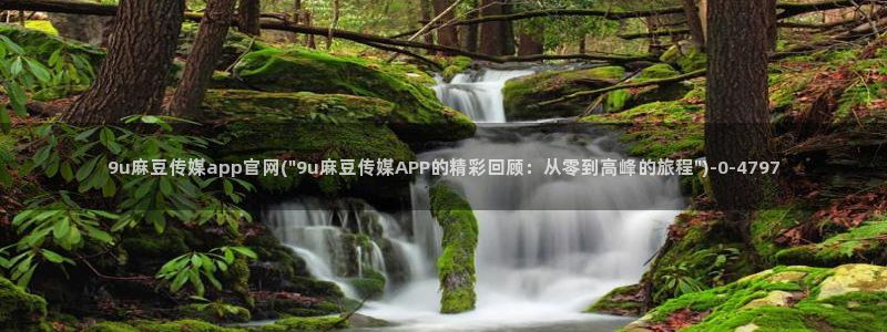 麻豆站内搜索