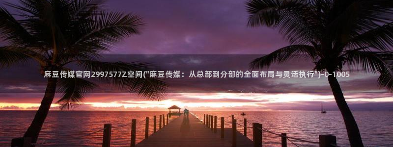 麻豆视频分类名称