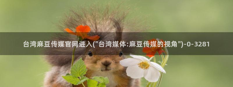 麻豆视频自动更新：台湾麻豆传媒官网进入(\