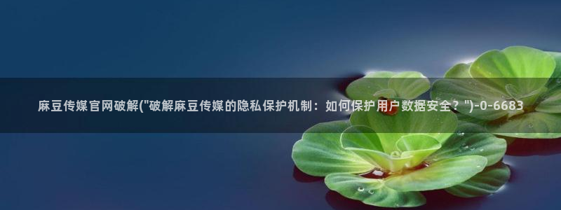 麻豆视频相关搜索：麻豆传媒官网破解(\