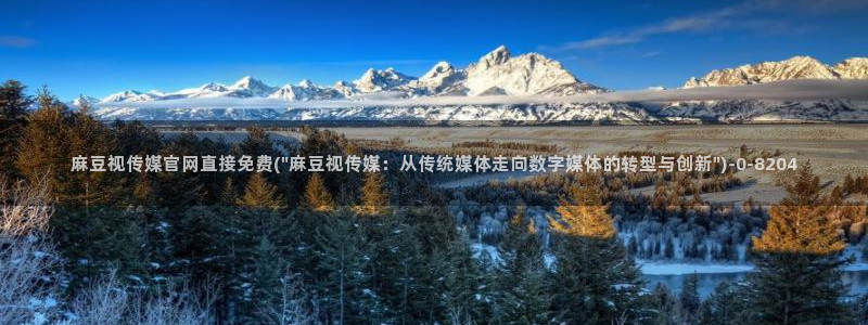 麻豆视频长尾词