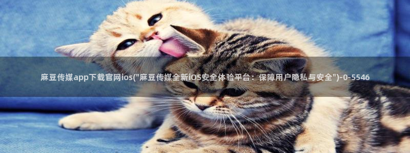 麻豆分类库：麻豆传媒app下载官网ios(\