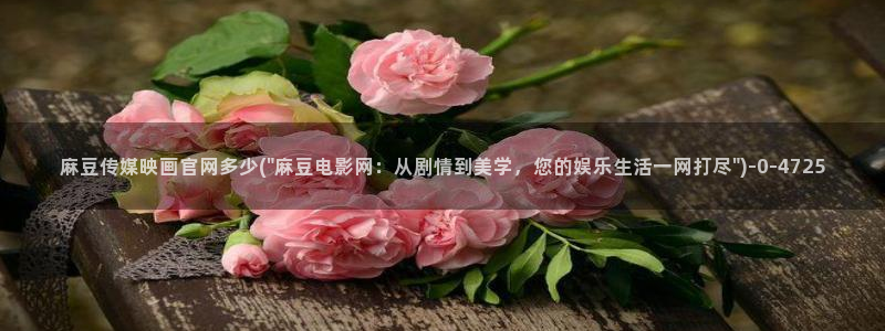 麻豆视频高流量词