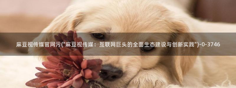 麻豆女演员：麻豆视传媒官网污(\
