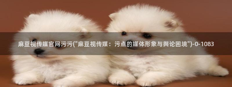 麻豆视频资料文案