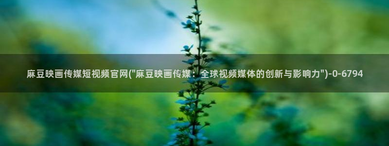 麻豆视频在线看