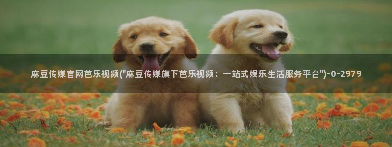 麻豆高清视频
