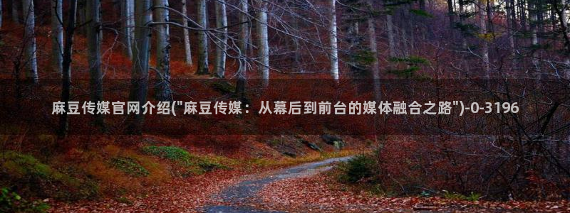 麻豆原创视频