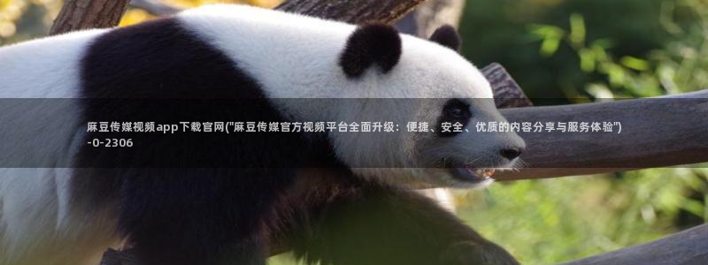 麻豆传媒精选