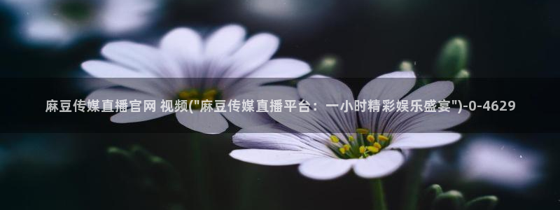 麻豆职场剧情