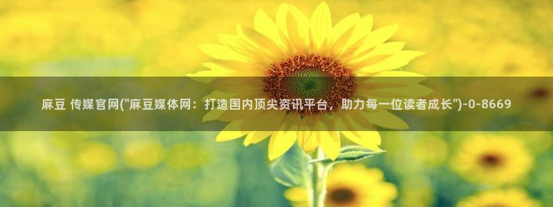 麻豆视频演员文案