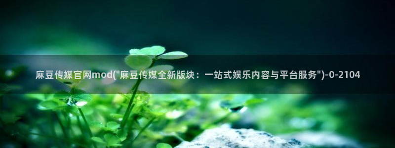 麻豆视频分类名称