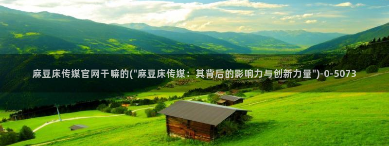 麻豆视频排名词