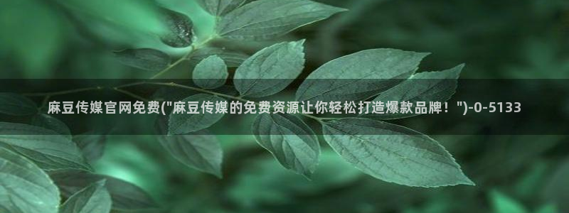 麻豆传媒在线观看