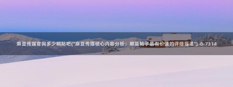 麻豆视频点评