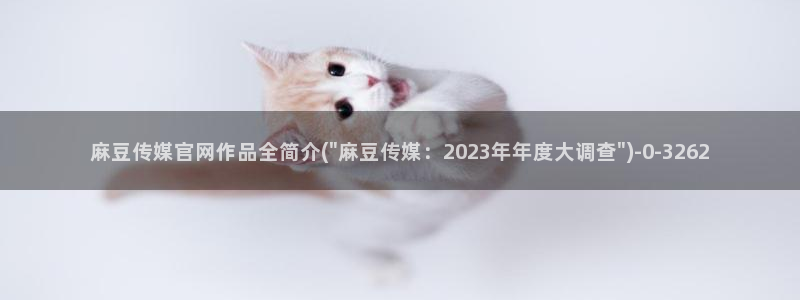 麻豆视频搜索