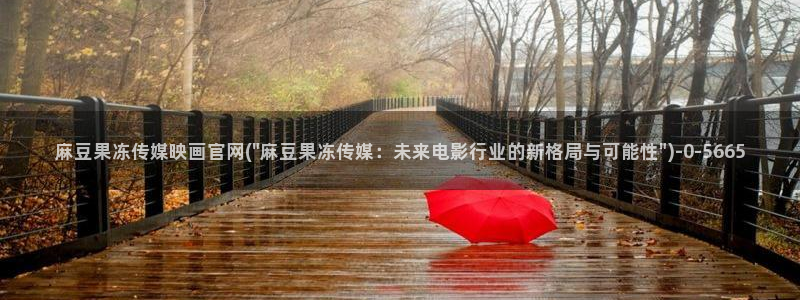 麻豆视频百度优化