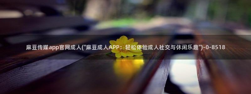 麻豆视频标签规划