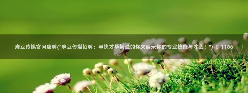 麻豆站点地图