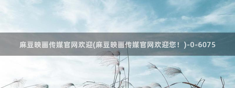 麻豆视频高流量词