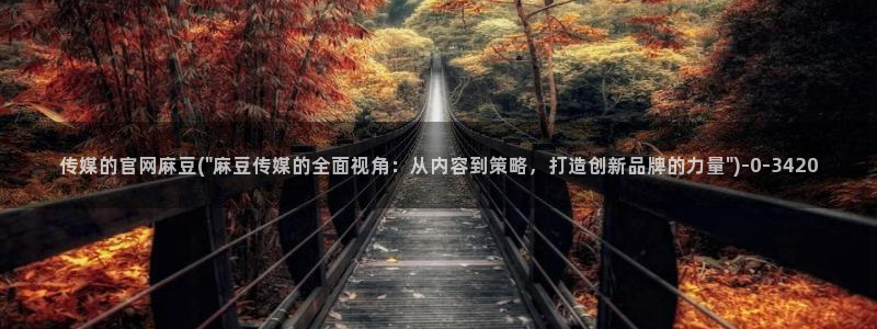 麻豆传媒合集