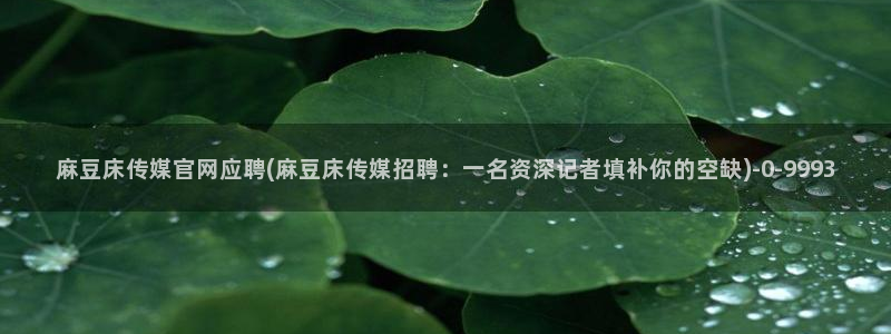 麻豆视频排行