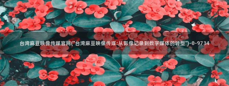 麻豆视频大全