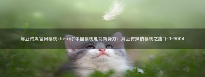 麻豆新片描述