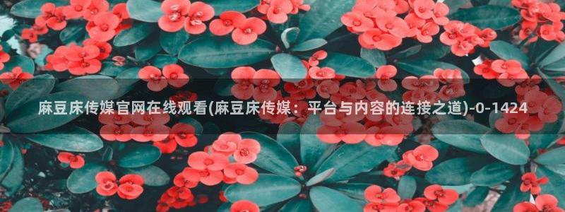 麻豆视频百度优化