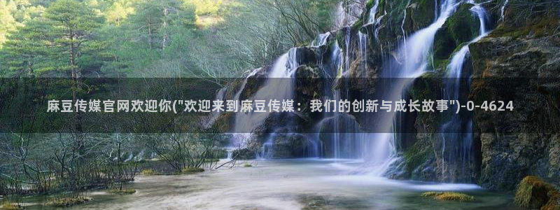 麻豆视频采集规则