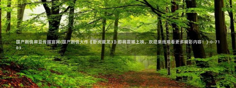 麻豆传媒