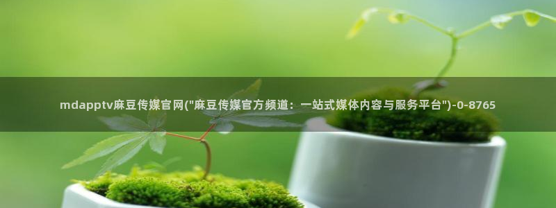 麻豆影视资讯