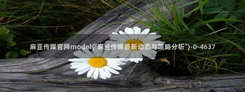 麻豆视频自然标题