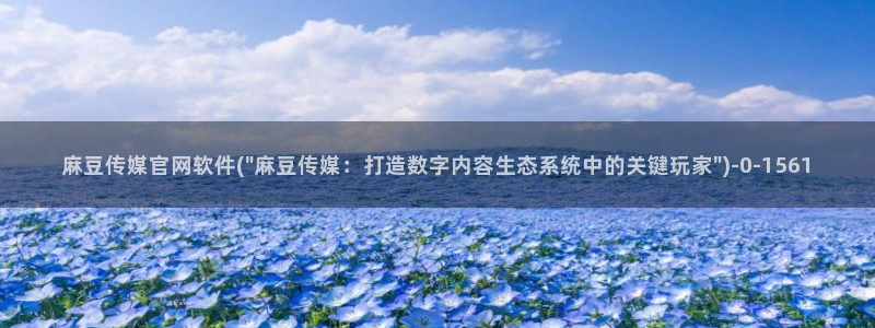 麻豆视频更新