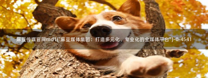 麻豆视频解说文案