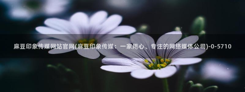 麻豆传媒合集