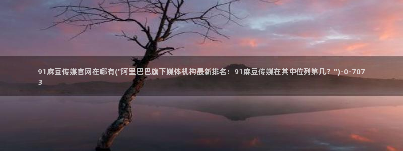 麻豆视频指南文案