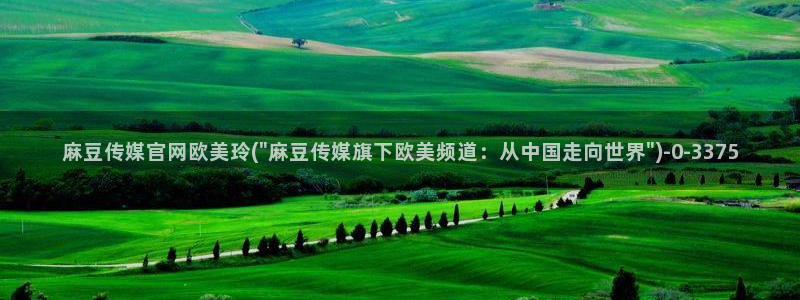 麻豆视频演员文案