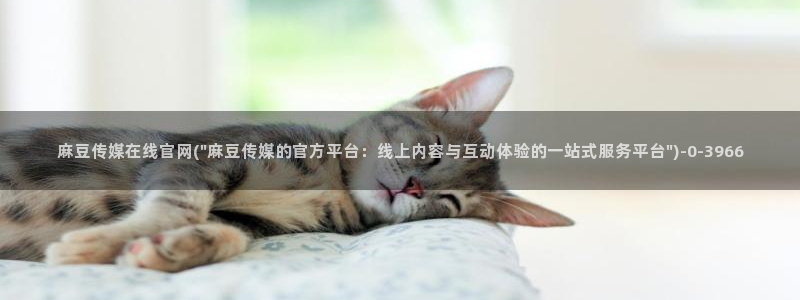 麻豆视频站