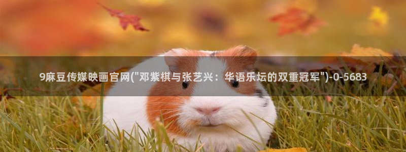 麻豆视频标签
